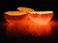 [OhmyNews]디카시를 아시..