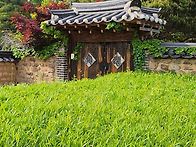 퇴고(推敲)