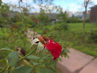 너라서