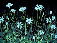 속세를 초월한 수묵[無題]