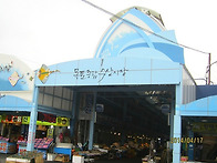 영산강 종주