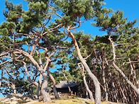 경주 표암(瓢巖) 일원