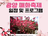 2025 광양매화축제 일정 ..