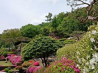 천마산 꽃길(5/2..