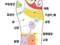 맨발 걷기의 효과..