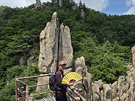 아리수님