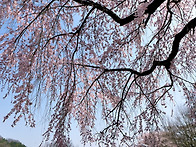 김천 오봉저수지 ..