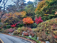 대전세종 산사랑 ..