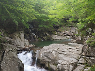지리산 뱀사골 240510-..