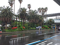 제주 240403-08 올레3,..
