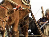 팔십 평생 동안 ..