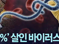 변종 에볼라 확산..