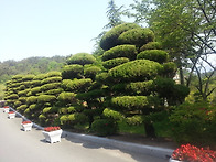 부산가야동의대정원