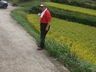 경남고성상리여행