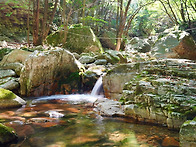 9/19 유명산계곡&..