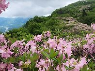 서리산~축령산 (..