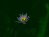 [0714'25] C