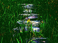 [0521'25] A