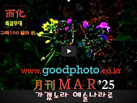 2025년 3월 월례사진영상 ..
