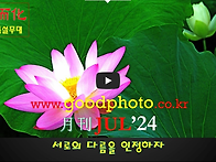 월례사진영상 [JUL'24]..