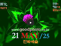 [0521'25] O 진짜예술