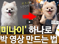 제미나이 활용법
