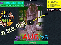 [0830'26] O 목 없는 미..