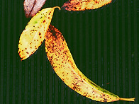 [0904'26] A