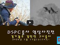 DSPC 영상사진전 - 고니출..
