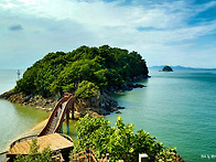 구봉도(장려) 202번째