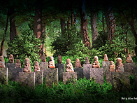 나한 (입선) 200번째