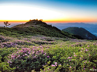 철쭉 꽃동산 해맞이2(황매..