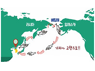 연어 이야기(도서 발췌)