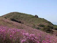 황매산 철쭉동산에서