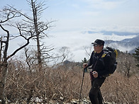 지리산 우무