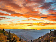 미국의 인기순위 ..
