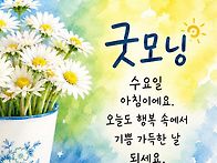 🐷6월24일 수..