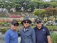중랑천 장미 축제