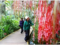 2025.12.13 마곡 서울 식..