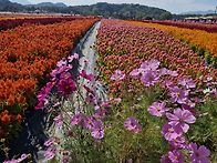 생각만 많은 노년들에게