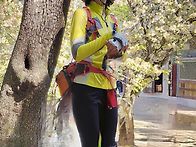 가야산의 The 여우