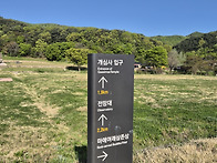 20260425 서산 가야산