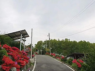 충남 예산군 예당저수지 ..