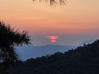 [113차 수야등] ..