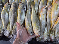 16일 - 120미, 160미 ..