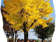 수학여행