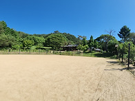 모두다 꽂히다🌼