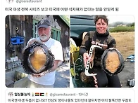 미국의 야생전복의 크기