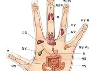 신체의 축소판 손바닥