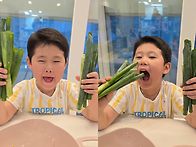 도하의 삼계탕 만들기